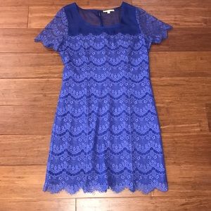 Gianni Bini dress